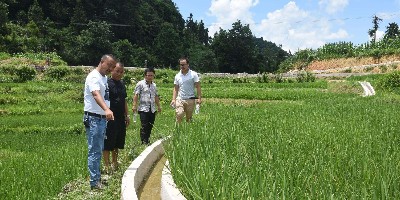 山西交口水利局采購高標準農(nóng)田pe灌溉管裝車發(fā)貨了